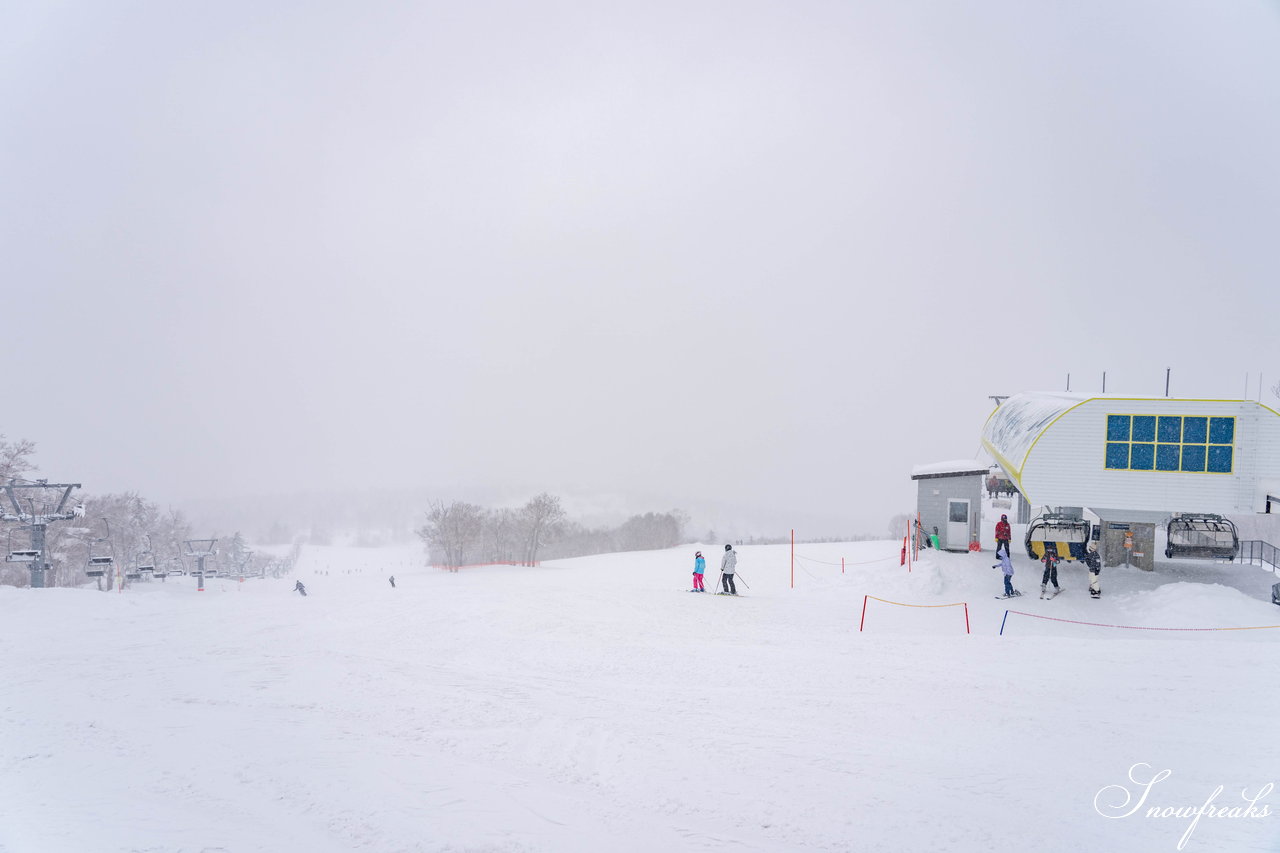 札幌国際スキー場　街は雨でも、山は雪！広々ゲレンデに思う存分シュプールを描こう(^^)/